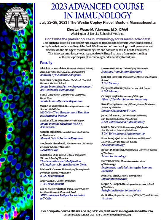 AAI Advanced Course 2023