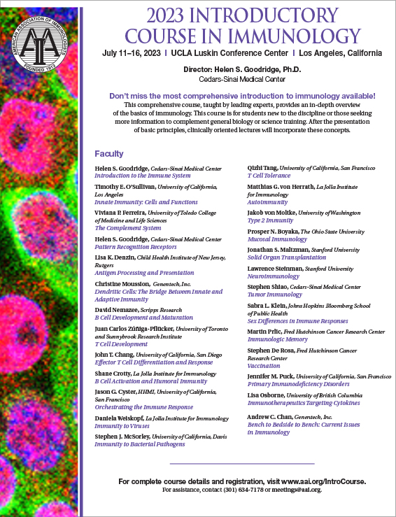 AAI Intro Course 2023